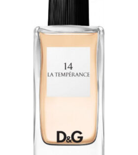 Dolce & Gabbana N° 14 La tempérance