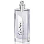 Declaration D’Un Soir – Cartier  100 ML EDT SPRAY + hommage