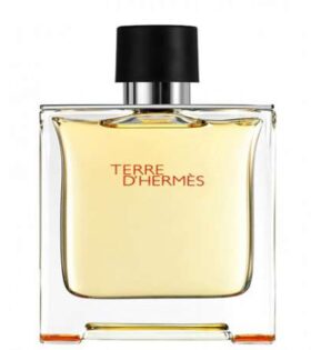 Terre d'Hermes - Hermes 100 ML EDT SPRAY*