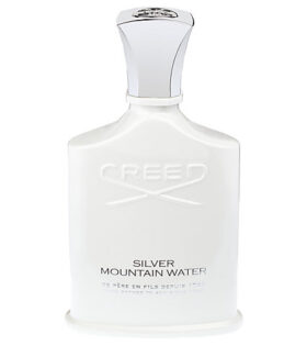 Zilver bergwater - Geloofsovertuiging 100 ml EDP-SPRAY*