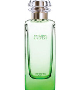 Un Jardin sur le Toit - Hermès 100 ml EDT SPRAY *