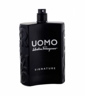 Salvatore Ferragamo Men's Signature - 100 ml EDP SPRAY*