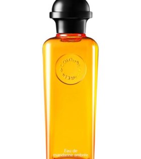 Wasser Tangerine Bernstein - Hermes 100 SPRAY ml EDC *