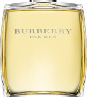 Burberry für Männer 100 ml