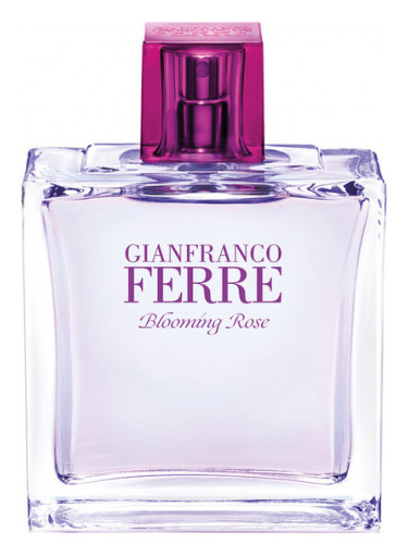 GIANFRANCO FERRE Rose en fleurs